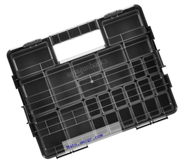 AmazonBasics Tool and Small Parts Organizer - 25 Compartments